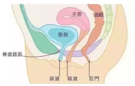 微信截图_20211116164201.png