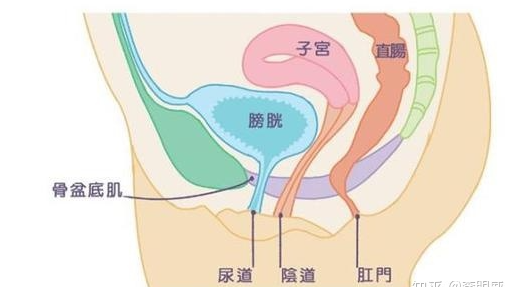 微信截图_20220510162625.png