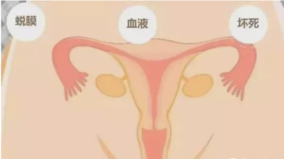 微信截图_20220207175132.png