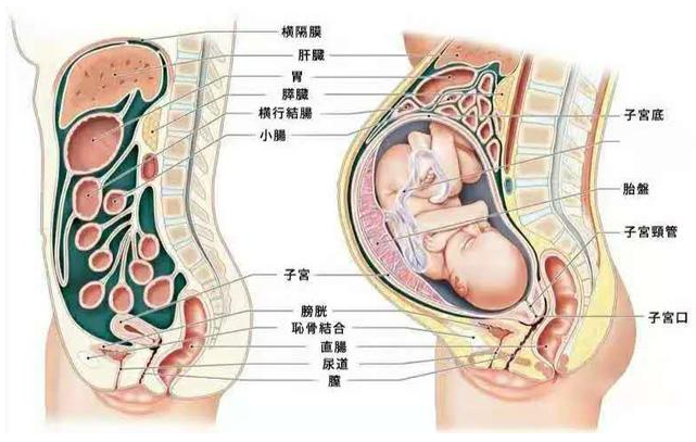 微信截图_20210924145422.png