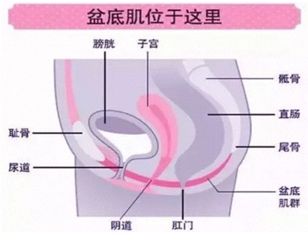 微信截图_20220314112821.png