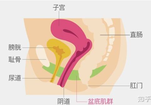 微信截图_20211009150918.png